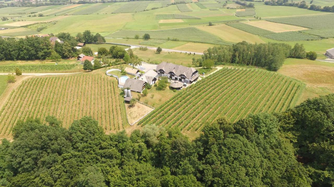 Villa Istenic Bizeljsko Exterior foto
